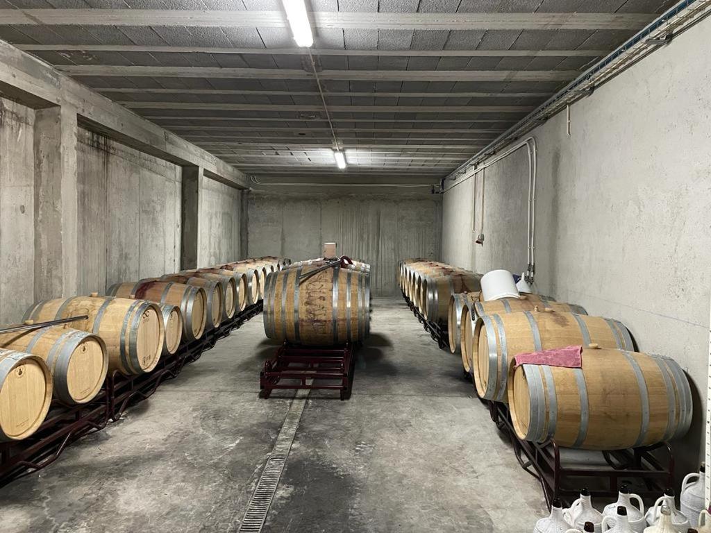 Quinta Da Penada - Vineyard & Winery - Suite 3 Chaves Buitenkant foto