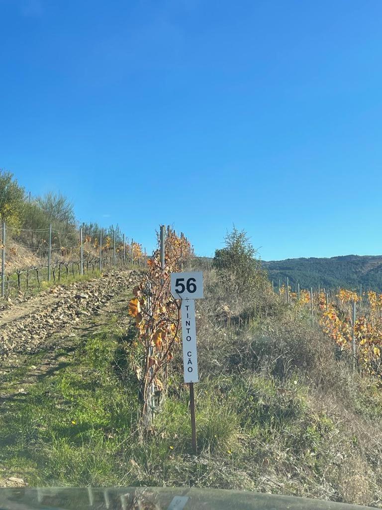 Quinta Da Penada - Vineyard & Winery - Suite 3 Chaves Buitenkant foto